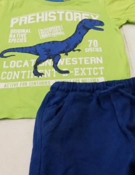 T-Shirt von C&A mit kurzer Hose von Next Gr. 98 (4199)